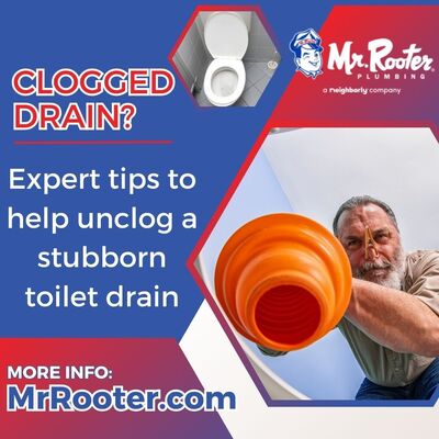Expert Tips to Help Unclog a Stubborn Toilet Drain