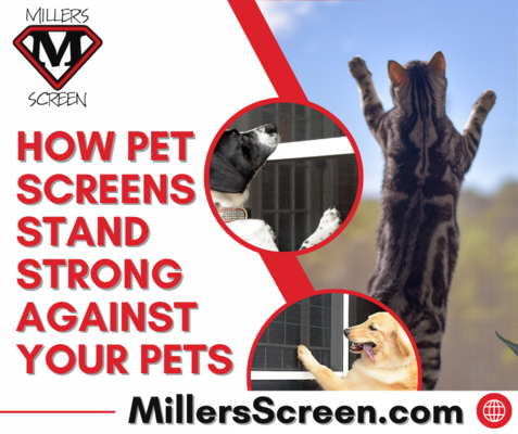 How Pet Screens Stand Strong Against Your Pets