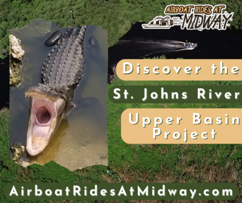 Discover the St. Johns River Upper Basin Project with Airboat Rides at Midway.