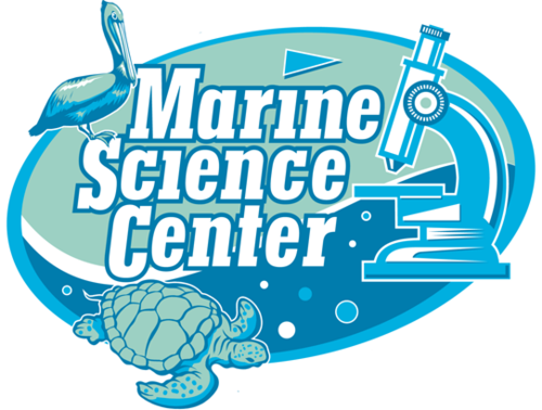 Marine Science Center in Ponce Inlet to undergo renovations in October.