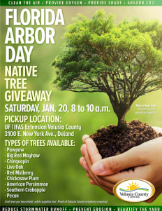 Volusia County to commemorate Florida Arbor Day with tree giveaway event.