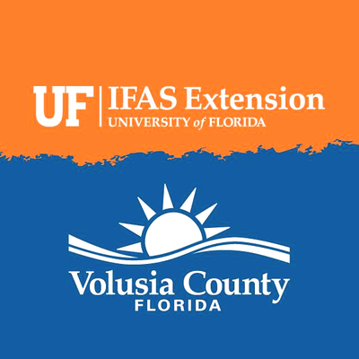 First-time Homebuyer classes offered by UF/IFAS Extension in Volusia County.