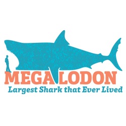 New Exhibit at MOAS: Largest Shark that Ever Lived