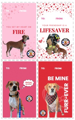 DeLand's Henry in Printable Valentine’s Day Cards