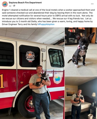 Feel Good Story of the Week - Daytona Fire Fighter Adopts Abandoned Puppy
