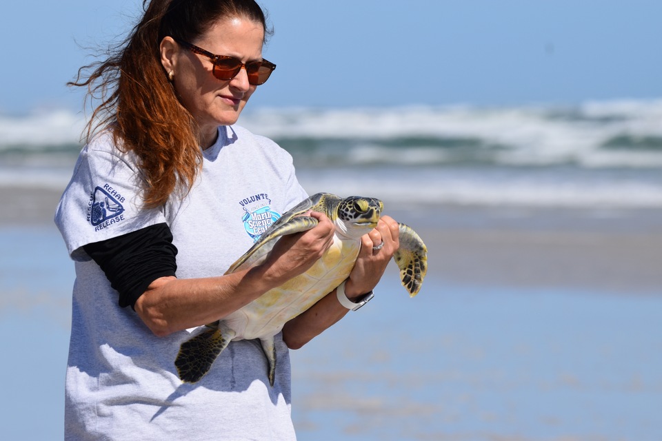 Pictures of Today's Turtle Release in Ponce Inlet