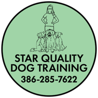 Star Quality Dog Training