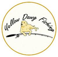 yellow dawg